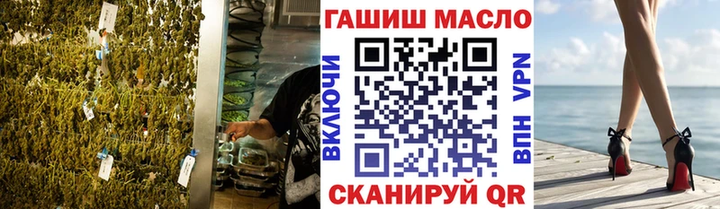 Купить где  Луза  ТГК гашишное масло 